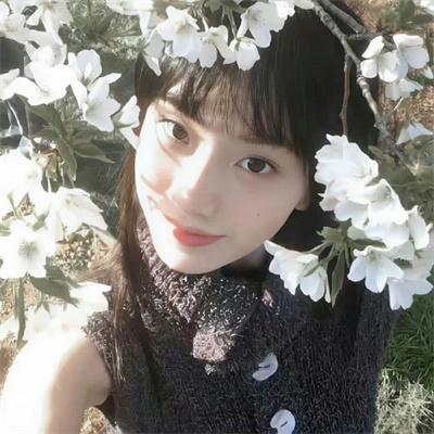 登场了丝绸之路